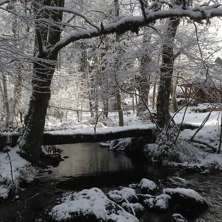 Gite Nature L'Eveil De La Foret Vitrac-sur-Montane Exterior photo